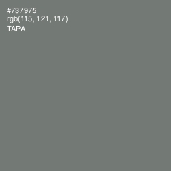 #737975 - Tapa Color Image