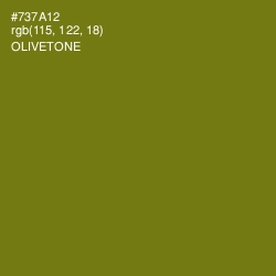 #737A12 - Olivetone Color Image