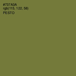 #737A3A - Pesto Color Image