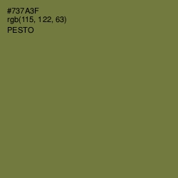 #737A3F - Pesto Color Image