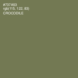 #737A53 - Crocodile Color Image