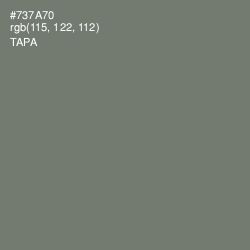 #737A70 - Tapa Color Image