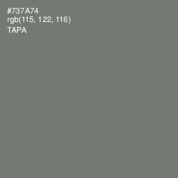 #737A74 - Tapa Color Image