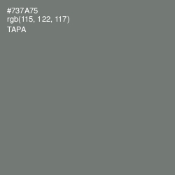 #737A75 - Tapa Color Image