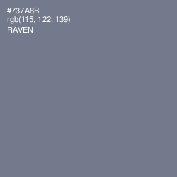 #737A8B - Raven Color Image