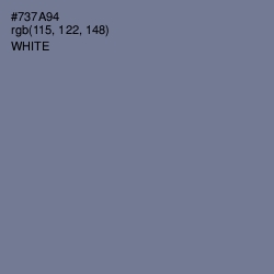 #737A94 - Waterloo  Color Image