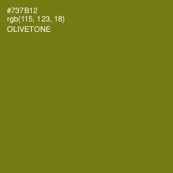 #737B12 - Olivetone Color Image