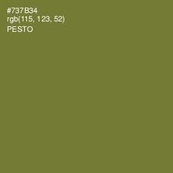 #737B34 - Pesto Color Image