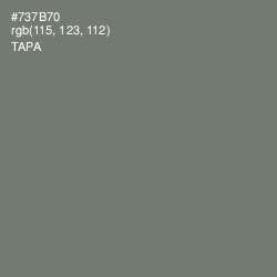 #737B70 - Tapa Color Image