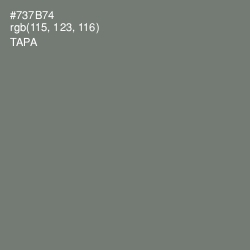 #737B74 - Tapa Color Image