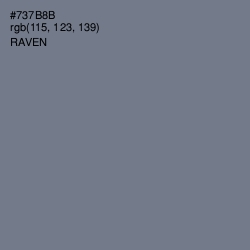 #737B8B - Raven Color Image