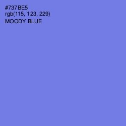 #737BE5 - Moody Blue Color Image