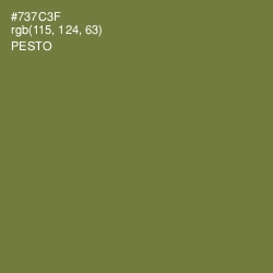 #737C3F - Pesto Color Image