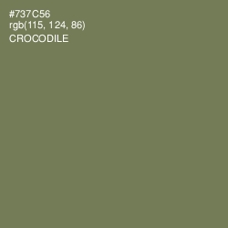 #737C56 - Crocodile Color Image