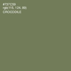#737C59 - Crocodile Color Image