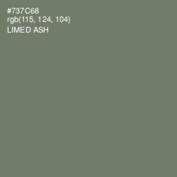 #737C68 - Limed Ash Color Image