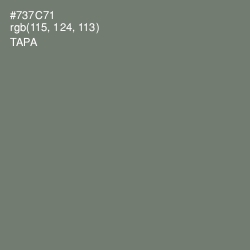#737C71 - Tapa Color Image