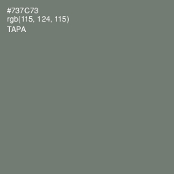 #737C73 - Tapa Color Image