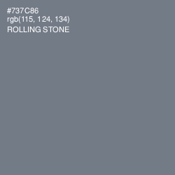 #737C86 - Rolling Stone Color Image