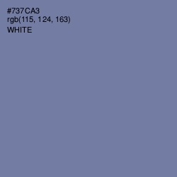 #737CA3 - Deluge Color Image