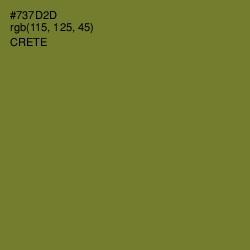 #737D2D - Crete Color Image