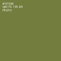 #737D3E - Pesto Color Image