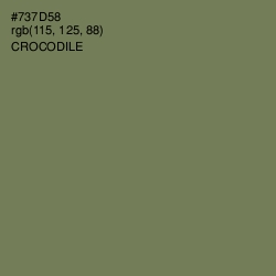 #737D58 - Crocodile Color Image