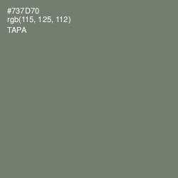 #737D70 - Tapa Color Image