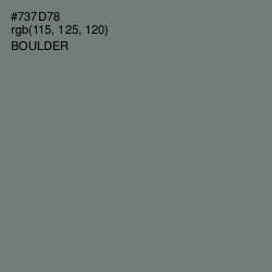 #737D78 - Boulder Color Image