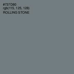 #737D80 - Rolling Stone Color Image