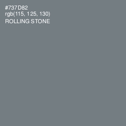 #737D82 - Rolling Stone Color Image