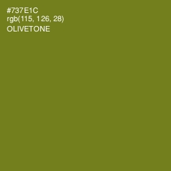 #737E1C - Olivetone Color Image