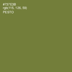 #737E3B - Pesto Color Image