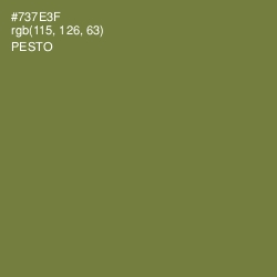#737E3F - Pesto Color Image