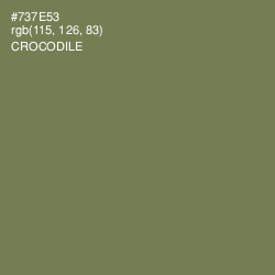 #737E53 - Crocodile Color Image