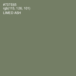 #737E65 - Limed Ash Color Image
