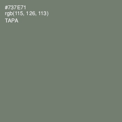 #737E71 - Tapa Color Image