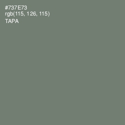 #737E73 - Tapa Color Image