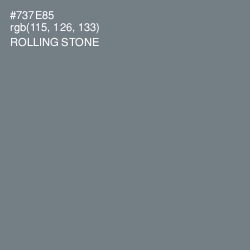 #737E85 - Rolling Stone Color Image