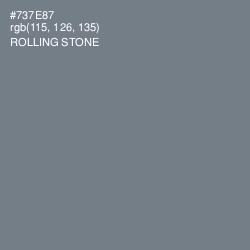 #737E87 - Rolling Stone Color Image