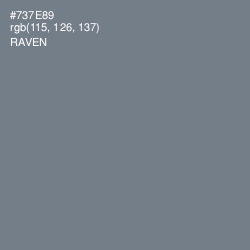 #737E89 - Raven Color Image