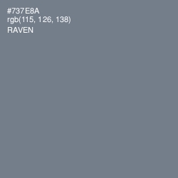 #737E8A - Raven Color Image