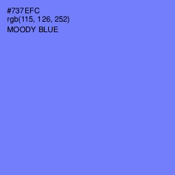 #737EFC - Moody Blue Color Image