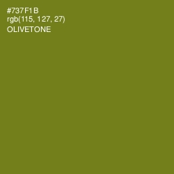 #737F1B - Olivetone Color Image