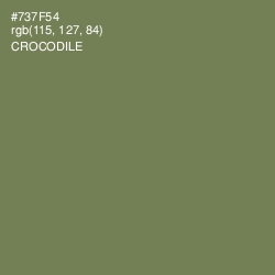#737F54 - Crocodile Color Image