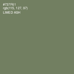 #737F61 - Limed Ash Color Image