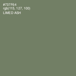 #737F64 - Limed Ash Color Image