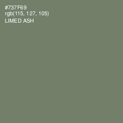 #737F69 - Limed Ash Color Image