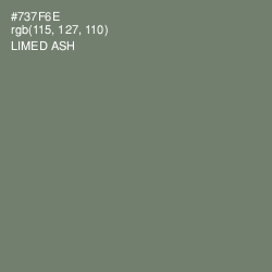 #737F6E - Limed Ash Color Image