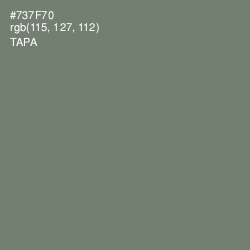 #737F70 - Tapa Color Image